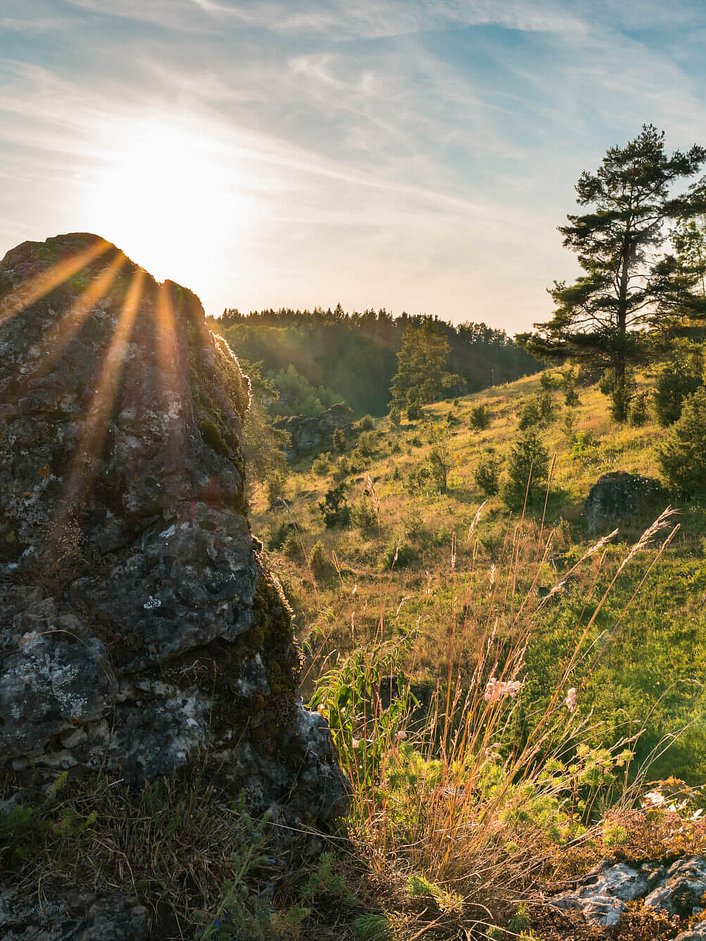 Felsenhügel in der Fränkischen Schweiz